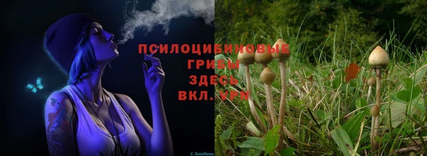 герыч Абаза