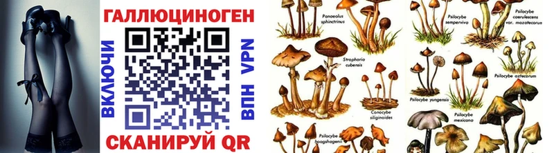 Псилоцибиновые грибы Cubensis  как найти закладки  Монино 